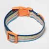 Fabric Dog Collar - Sun Squad™